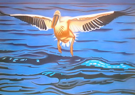 Vizen landoló pelikán